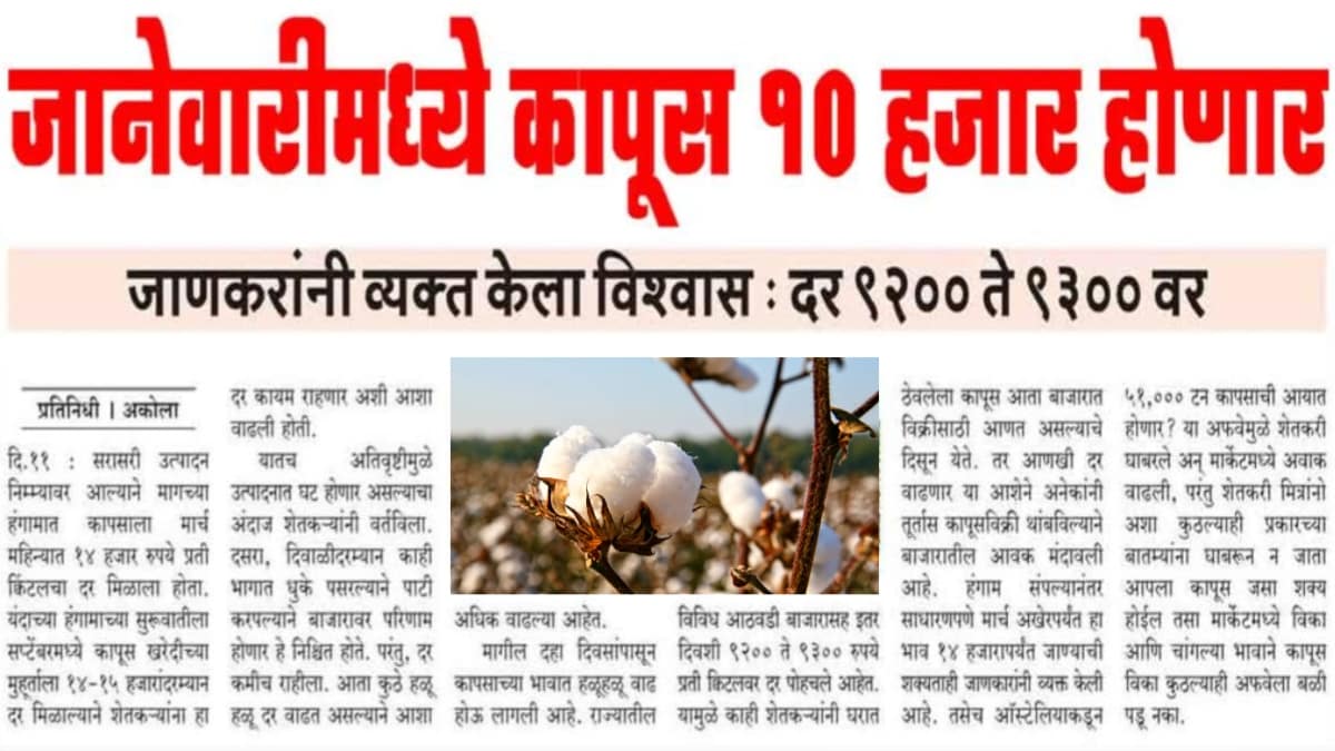 New Cotton Price Update