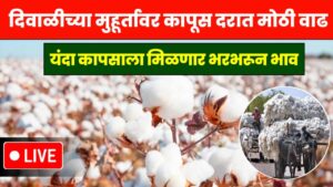 Cotton Rate Today Maharashtra