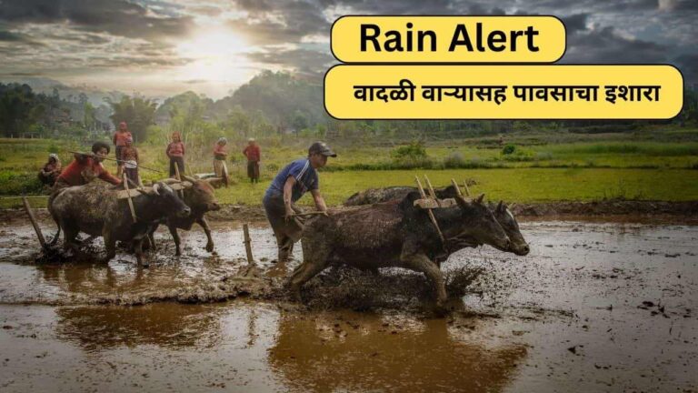 Rain Alert