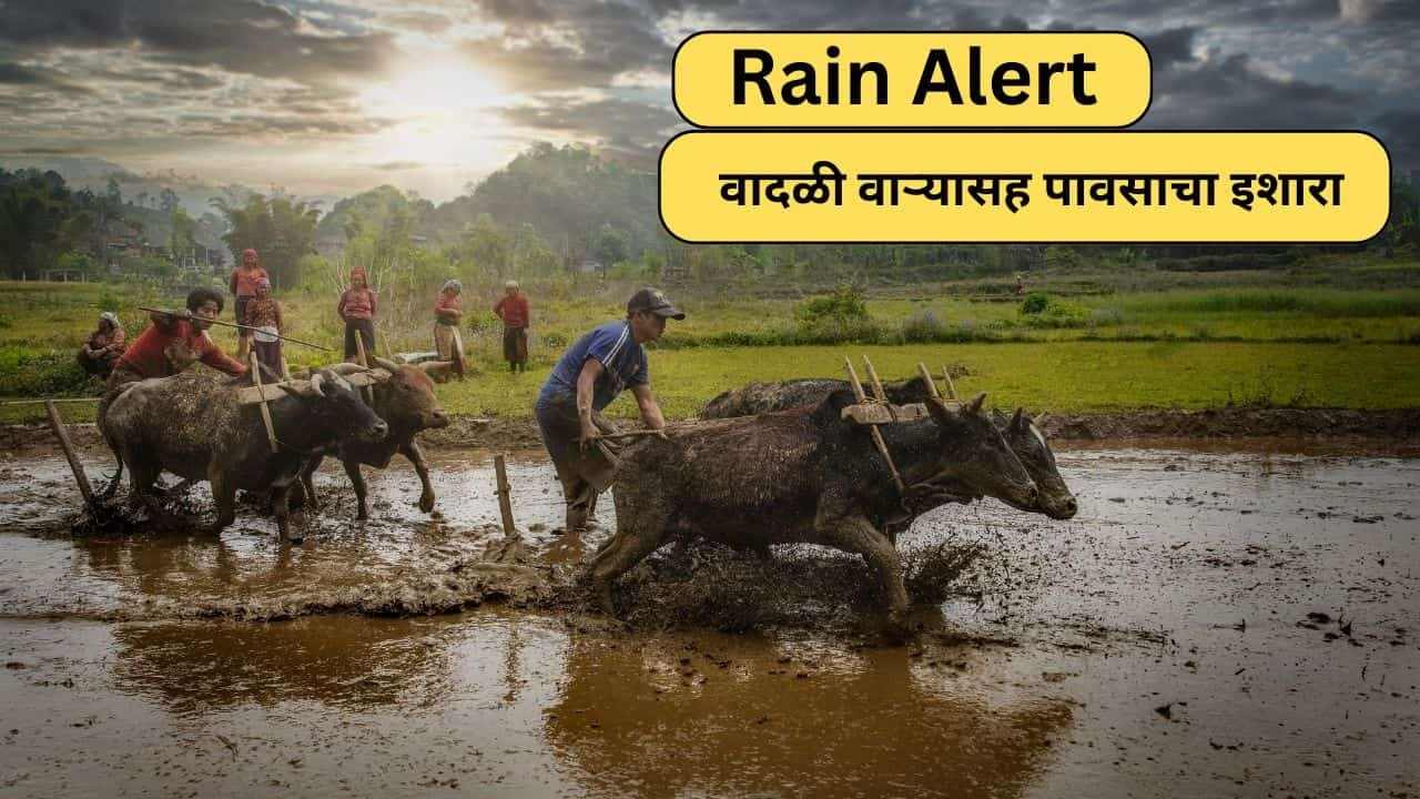 Rain Alert